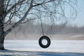 Tire swing Royalty Free Stock Photo