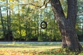 Tire swing hanging from the tree besides the railway. Royalty Free Stock Photo
