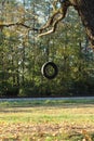 Tire swing hanging from the tree besides the railway. Royalty Free Stock Photo