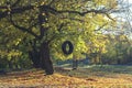 Tire swing hanging from the tree besides the railway. Royalty Free Stock Photo