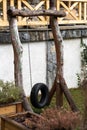 Tire swing hanging from a tree in a summer garden. Concept photo of happy childhood, memory, native home outside grass background Royalty Free Stock Photo