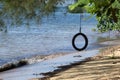 Tire swings hang from trees on the sandy beach with selective focus.