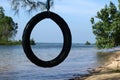 Tire swings hang from trees on the sandy beach with selective focus.