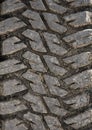 Tire texture