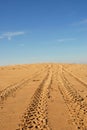 Tire traces in a dune Royalty Free Stock Photo