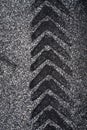 Tire Track on Asphalt Royalty Free Stock Photo