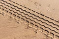 Tire track on the beach. Tire footprint in the sand Royalty Free Stock Photo