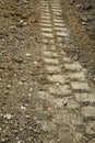 Tire track in a dirt road