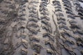 tire track impressions in mud