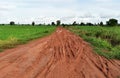 Tire track of many vehicle on soil mud road in countryside in rainy season Royalty Free Stock Photo