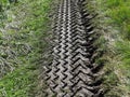 Tire track patterns in muddy soil