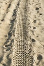 Tire track in the sand. Royalty Free Stock Photo