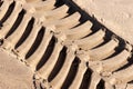 Tire track on the beach. Tire footprint in the sand Royalty Free Stock Photo