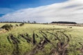 tire tracks in agricultural field