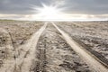 Tire tracks on the beach Royalty Free Stock Photo