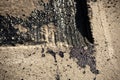 Tire tracks on bitumen on the surface of asphalt under construction