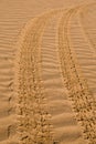Tire tracks in the desert