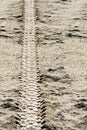 Tire tracks on dirt Royalty Free Stock Photo