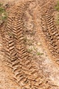 Tire tracks in dirt mud. Royalty Free Stock Photo