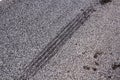 Tire tracks on a dry asphalt road Royalty Free Stock Photo