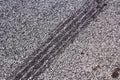 Tire tracks on a dry asphalt road Royalty Free Stock Photo