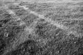 Tire Tracks on a Field of Grass in Black and White