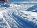 Tire tracks in fresh snow Royalty Free Stock Photo
