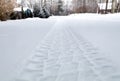 Tire tracks in freshly fallen snow in a residential neighborhood