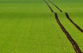 Tire tracks on the green field Royalty Free Stock Photo