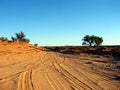 Desert Tracks Royalty Free Stock Photo