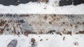 Tire tracks in the melting snow on asphalt road Royalty Free Stock Photo