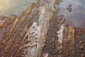 Tire tracks in the melting snow on asphalt road Royalty Free Stock Photo