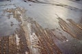 Tire tracks in the melting snow on asphalt road Royalty Free Stock Photo