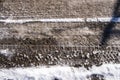 tire tracks on the melting snow on the asphalt Royalty Free Stock Photo