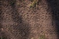 Tire tracks of mountain bikes on the muddy ground Royalty Free Stock Photo