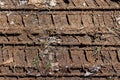 Tire tracks in the mud Royalty Free Stock Photo