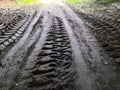 Tire tracks in mud Royalty Free Stock Photo