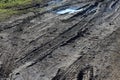 Tire tracks in the mud