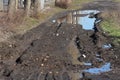 Tire tracks in the mud