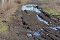 Tire tracks in the mud