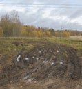 Tire tracks on a muddy dirt road Royalty Free Stock Photo