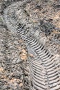 Tire tracks in the muddy wet ground Royalty Free Stock Photo