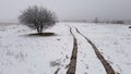 Tire tracks over snowy field Royalty Free Stock Photo