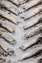 Tire tracks pattern imprints on wet muddy ground Royalty Free Stock Photo