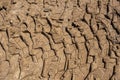 Tire tracks print on dirty red soil. Wheel marks of truck on soil texture background. Tyre track on sand texture Royalty Free Stock Photo