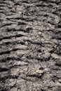 Tire tracks protector on dirt. Wheel`s trail tread, close up