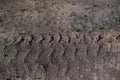 Tire tracks protector on dirt. Wheel`s trail tread, close up