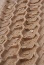 Tire tracks in sand Royalty Free Stock Photo