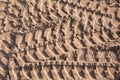 Tire tracks in the sand Royalty Free Stock Photo