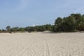 Unique Dutch natural phenomenon of sandbank drift plain.